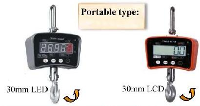 Crane Scale